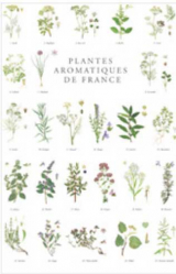 Affiche Plantes aromatiques - COLLECTIF - 2226183270759 Livre Unitheque.com