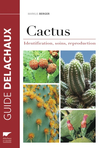 Cactées et plantes succulentes identification