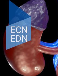 Quels livres de néphrologie choisir pour les ECNi et les EDN ?