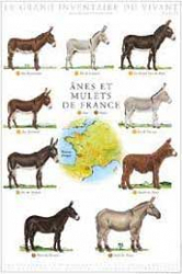 Affiche Anes et mulets de France