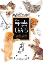 Agenda spécial chats 2020/2021