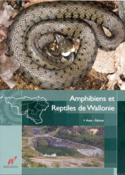 Amphibiens et reptiles de Wallonie