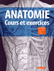 Anatomie de Gilroy - Cours et exercices