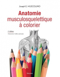 Anatomie musculosquelettique à colorier