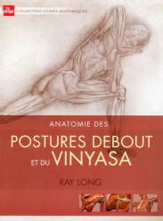 Anatomie des postures debout et du vinyasa