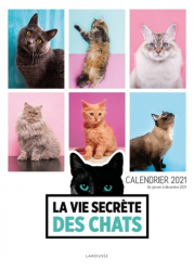 Calendrier 2021 La vie secrète des chats