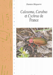 Calosoma, Carabus, et Cychrus de France