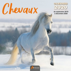 Calendrier Chevaux 2020