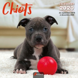 Calendrier Chiots 2020