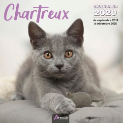 Calendrier Chartreux 2020