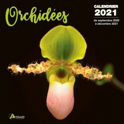 Calendrier Orchidées