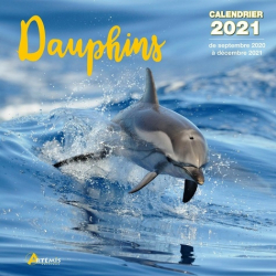 Calendrier Dauphins