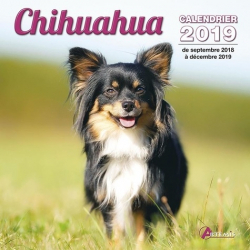 Chihuaha : calendrier 2019 : de septembre 2018 à décembre 2019