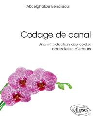 CODAGE DE CANAL : UNE INTRODUCTION AUX CODES CORRECTEURS D'ERREURS  | 