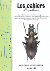 Contribution à la connaissance du genre Ceroglossus Solier (6e note) : description d'une nouvelle sous-espèce de Ceroglossus magellanicus d'Argentine