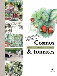 Cosmos et tomates