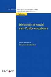 Démocratie et marché dans l'Union européenne en crise