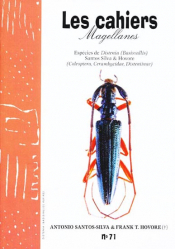 Especies de Distenia (Basivallis) Coleoptera, Cerambycidae, Disteniinae