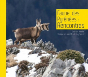 Faune des Pyrénées : Rencontres