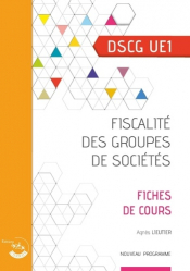 Fiscalité des groupes de sociétés DSCG UE 1 2023-2024