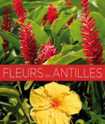 Fleurs des Antilles