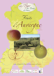 Fruits d'Auvergne