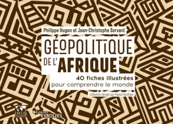 Géopolitique de l'Afrique. 40 fiches illustrées pour comprendre le monde