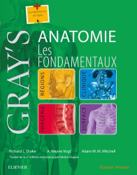 Gray's Anatomie