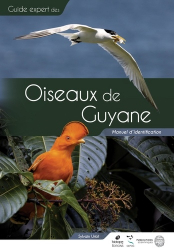 Guide des oiseaux de Guyane
