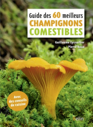 Guide des 50 meilleurs champignons comestibles