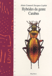 Hybrides du genre Carabus