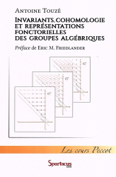 Invariants, cohomologie et représentations fonctorielles des groupes algébriques
