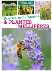 Insectes pollinisateurs & plantes mellifères