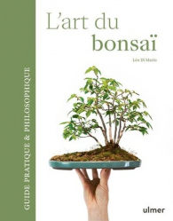 L'art du bonsaï