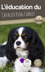 L'éducation du Cavalier King Charles