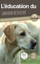 L'éducation du Labrador Retriever