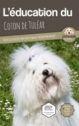 L'éducation du Coton de Tuléar