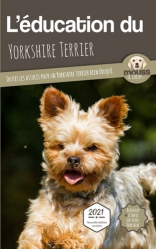 L'éducation du Yorkshire Terrier
