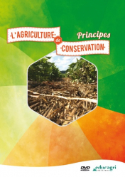 L'agriculture de conservation : principes