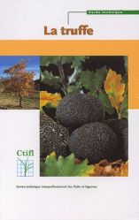 Vous recherchez les meilleures ventes rn Agriculture - Agronomie, La truffe