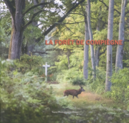 La forêt de Compiègne