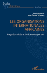 Les organisations internationales africaines