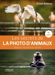 Les secrets de la photo d'animaux