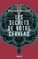 Les secrets de votre cerveau