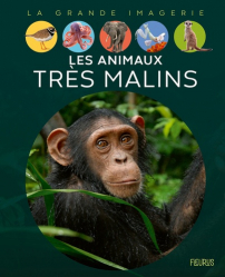 LES ANIMAUX TRES MALINS  | 