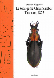 Le sous-genre Chrysocarabus Thomson, 1875