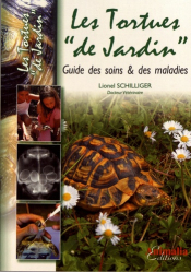 Les tortues de 'jardin'