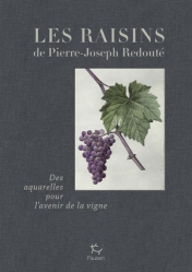 Les raisins de Pierre-Joseph Redouté
