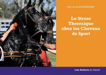 Le Stress Thermique chez les chevaux de Sport