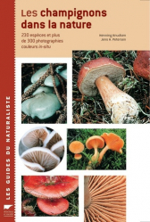 A la recherche des champignons - Un guide de terrain pour comprendre la  nature, Un guide de terrain pour comprendre la nature - Champignons de nos  forêts, sachez les reconnaître - Karine